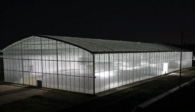 系统集成解决方案在技术培训中的适用情况与限制